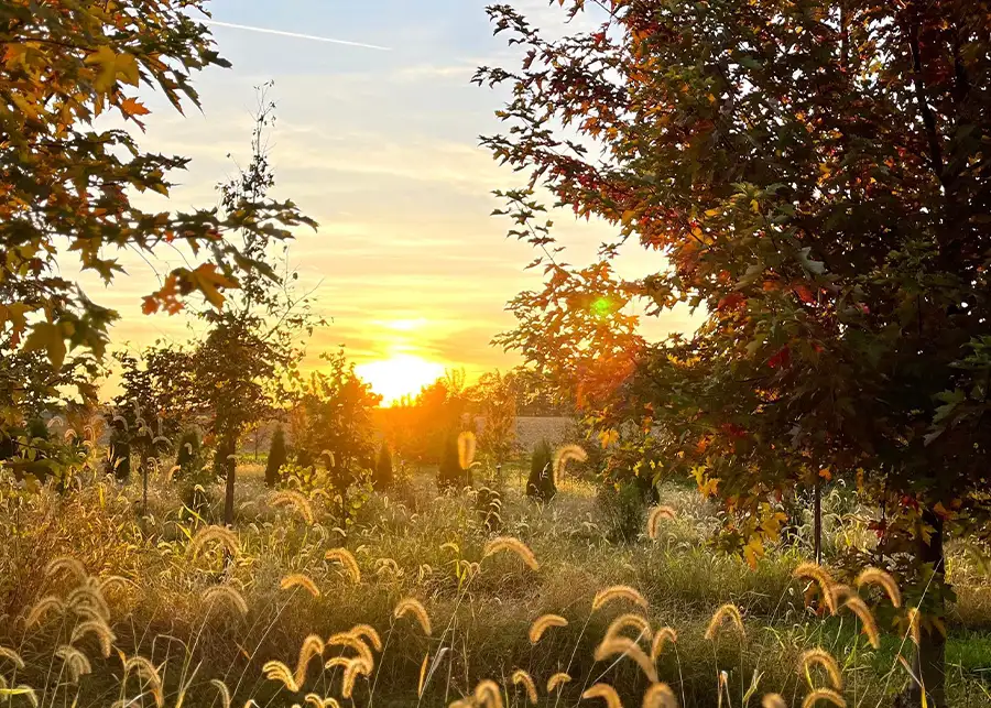 Paul's Paradise - Event add-ons, beautiful tree farm tour - Pleasant Plains, IL