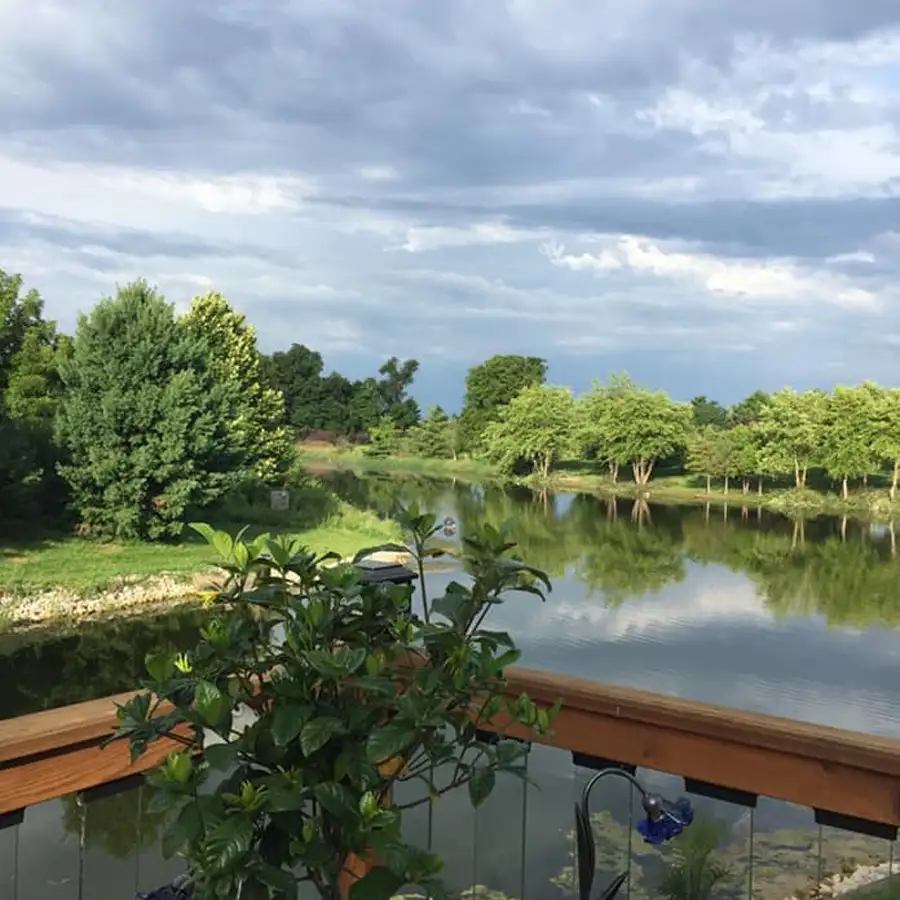 Paul's Paradise Gallery - three tier deck - Pleasant Plains, IL
