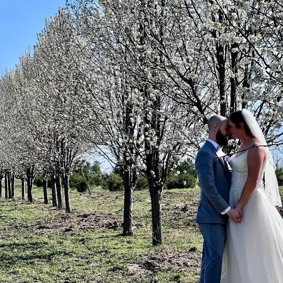 Paul's Paradise Gallery - Tree Farm Tour, wedding photography - Pleasant Plains, IL