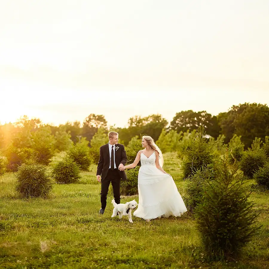 Paul's Paradise Gallery - Tree Farm Tour, wedding photography - Pleasant Plains, IL