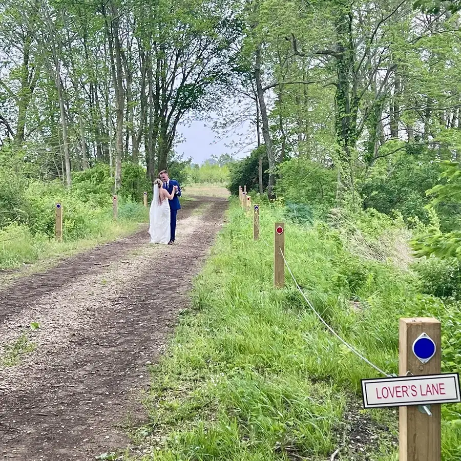 Paul's Paradise Gallery - Tree Farm Tour, wedding photography - Pleasant Plains, IL